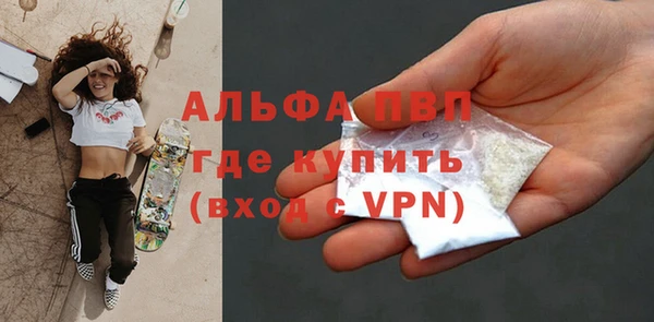 гидра Новодвинск