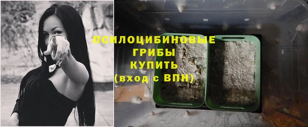 COCAINE Няндома