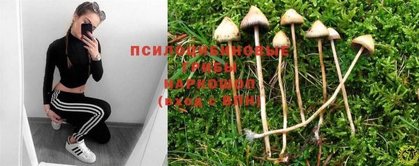 COCAINE Няндома
