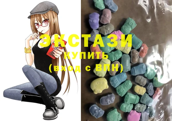 гидра Новодвинск