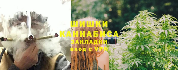 mdpv Новозыбков