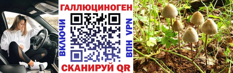 Галлюциногенные грибы Cubensis  Анадырь 