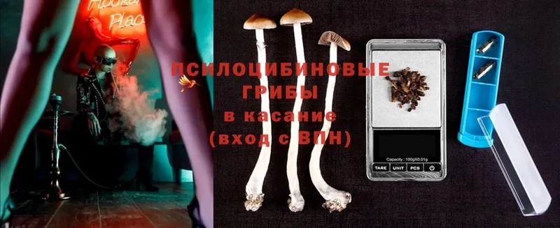 продажа наркотиков  Анадырь  Псилоцибиновые грибы Cubensis 